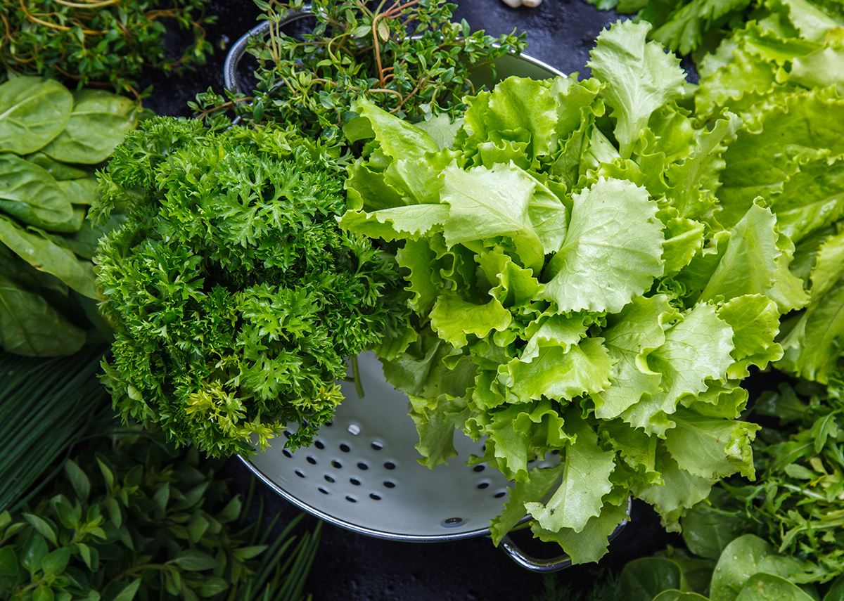 Lettuce